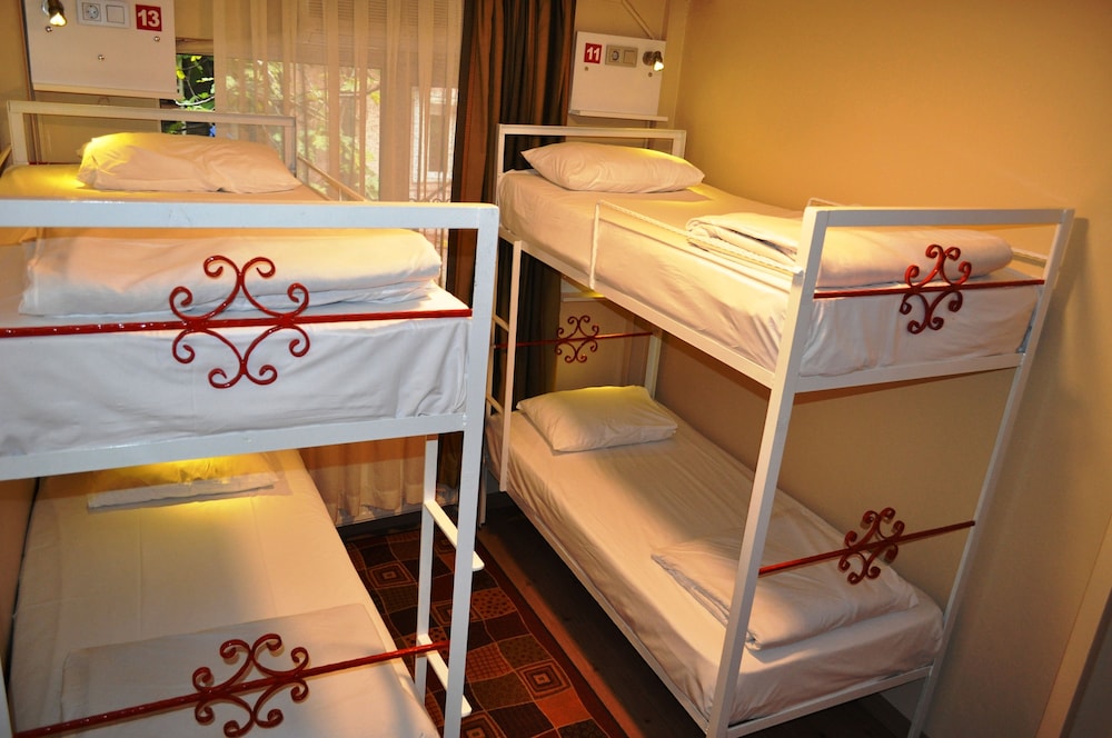 Shared Dormitory, Mixed Dorm, Shared Bathroom (Basement) photo 1