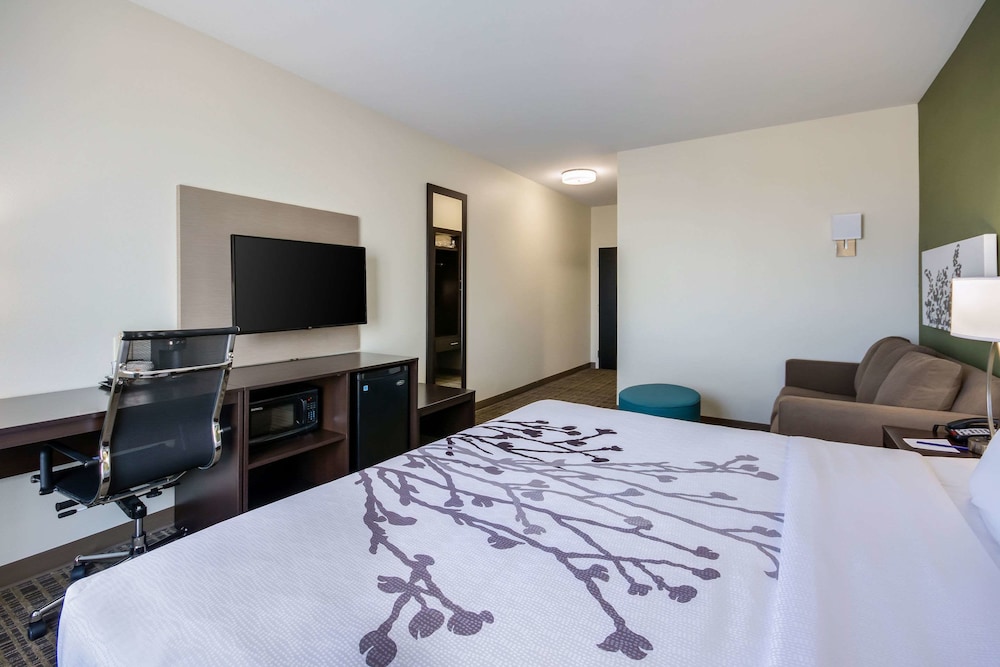 Suite, 1 King Bed, Non Smoking (Upgrade) photo 3