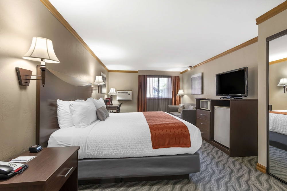 Standard Room, 1 King Bed, Non Smoking, Refrigerator & Microwave (Walk-in Shower;with Sofabed) - Photo 2