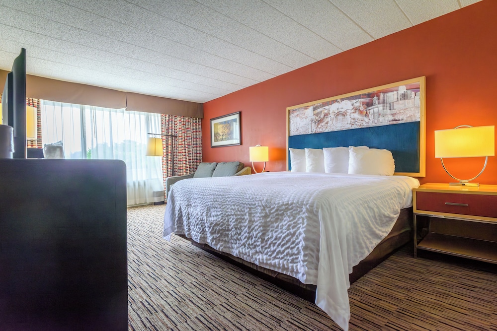 Standard Single Room, 1 King Bed with Sofa bed, Non Smoking - Photo 3