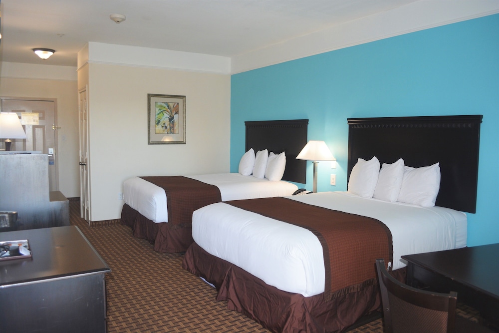 Suite - Photo 3