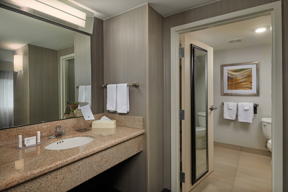 Suite, 1 Bedroom - Photo 4