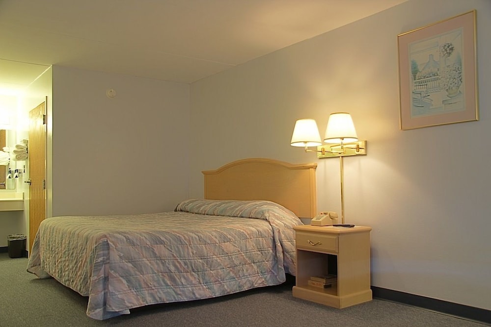 Room, 1 King Bed photo 1