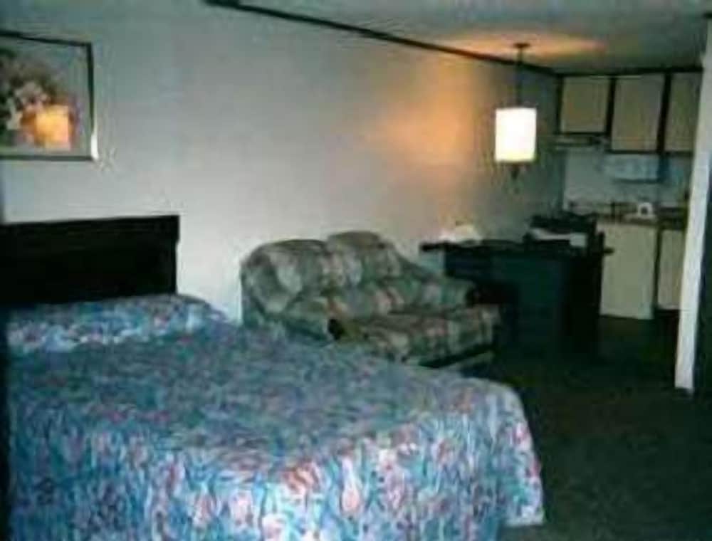 Room, 1 King Bed photo 3