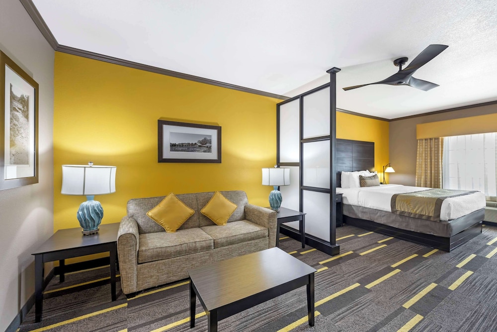 Suite, 1 King Bed, Accessible, Non Smoking (With Sofabed)