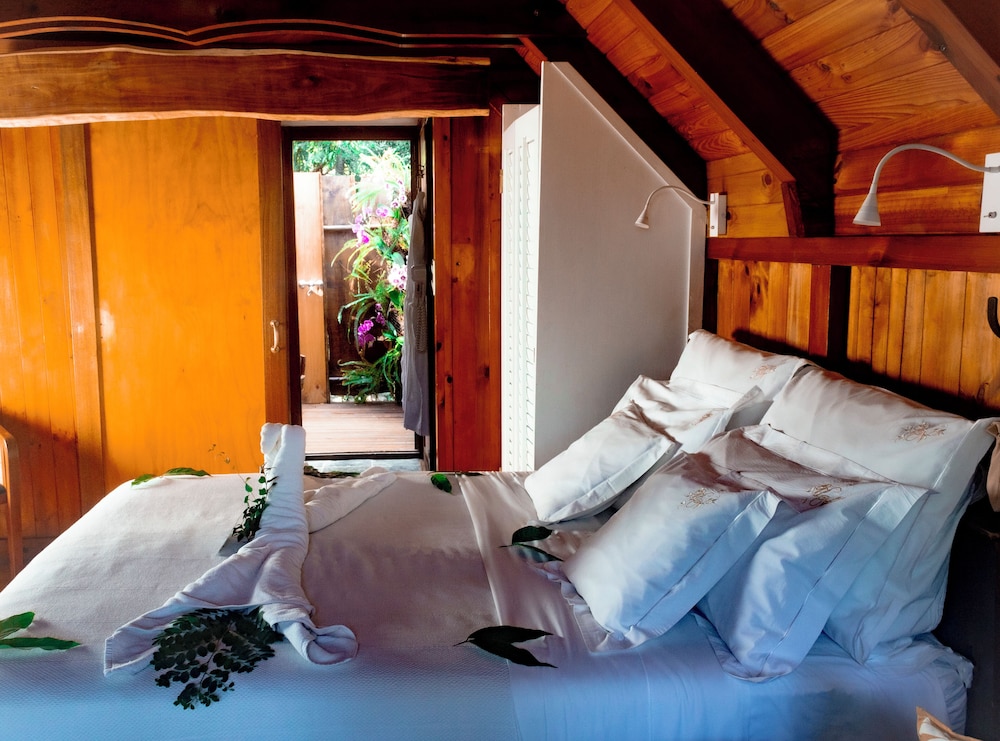 Safari Room photo 2