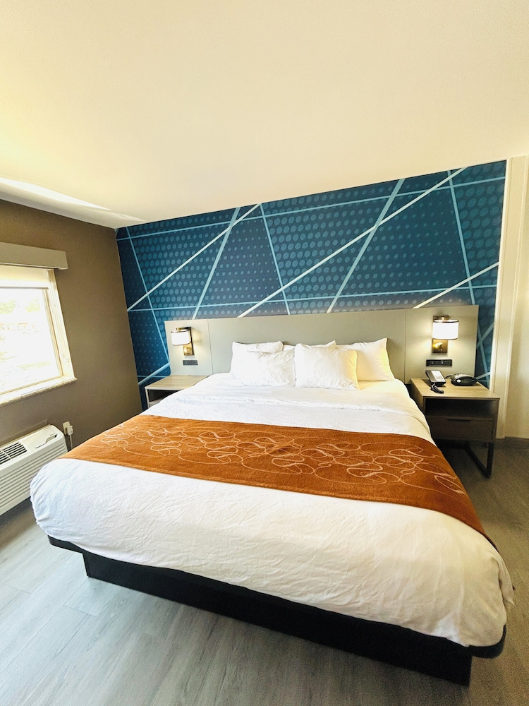 Suite, 1 King Bed with Sofa bed, Non Smoking - Photo 1