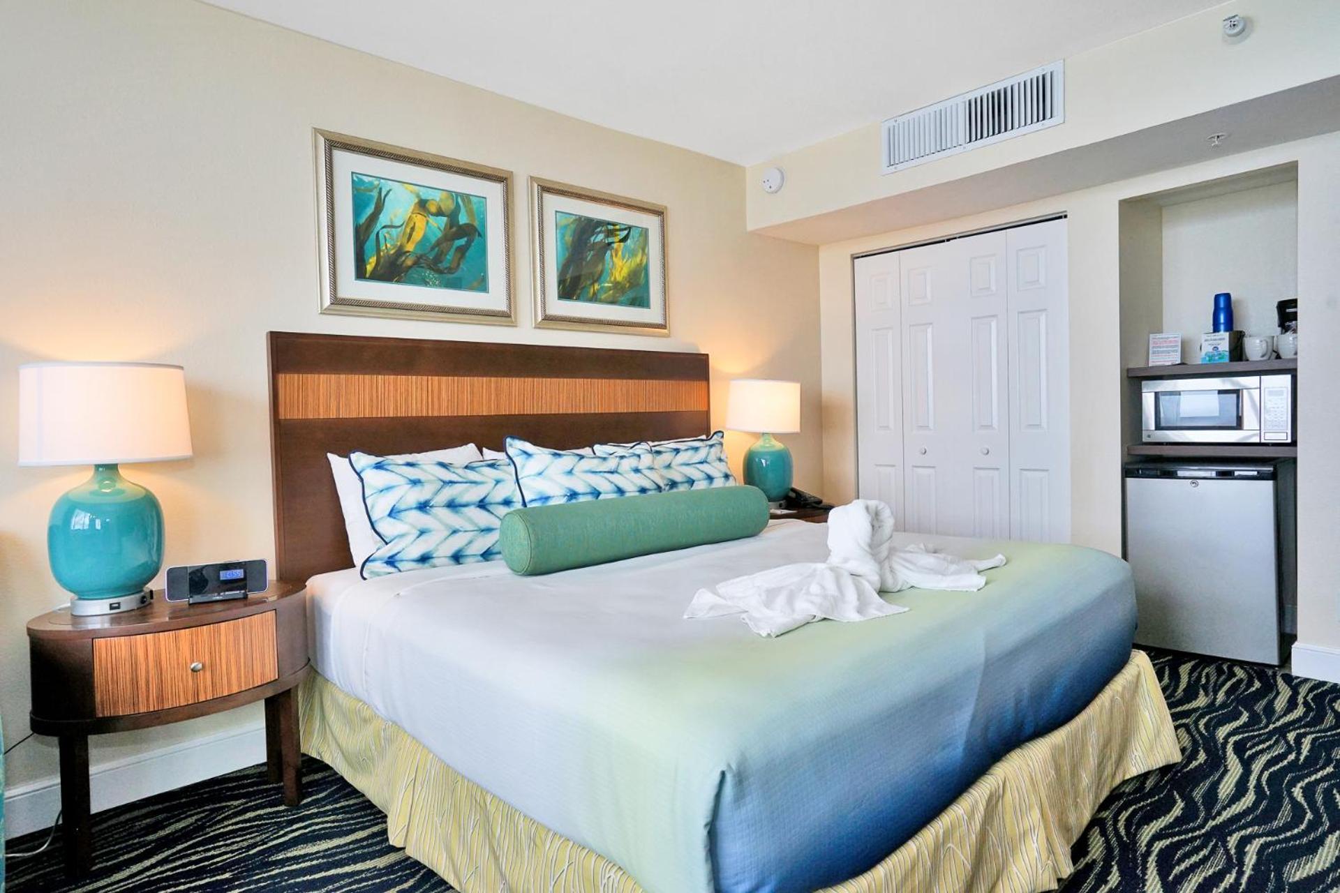 Standard Room, 1 King Bed, Intracoastal/Inside View - Photo 1