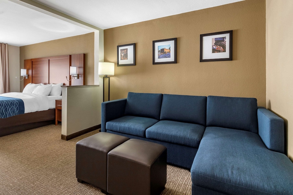Suite, 1 King Bed, Non Smoking - Photo 1