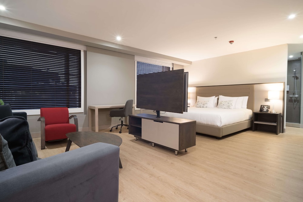Premium Suite photo 3