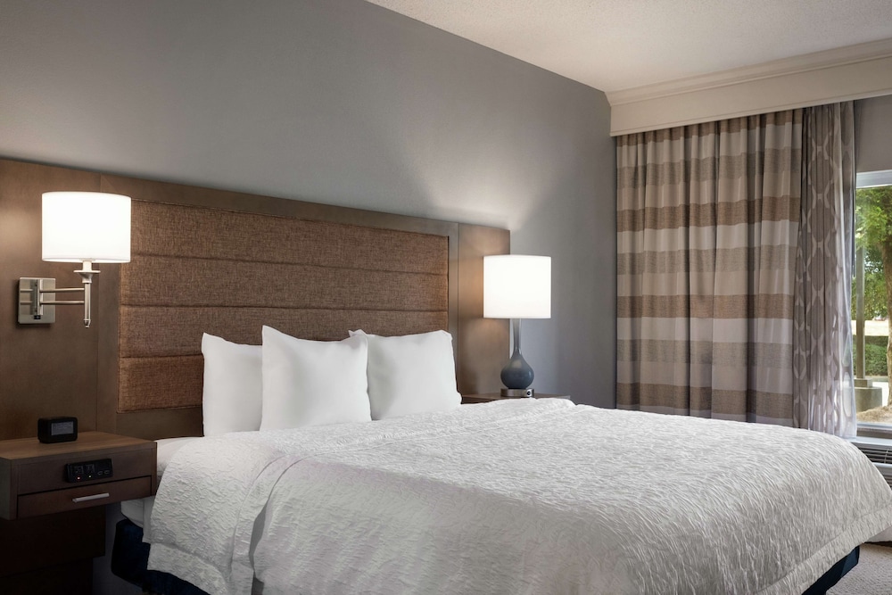 Suite, 1 King Bed, Accessible (Hearing) - Photo 1