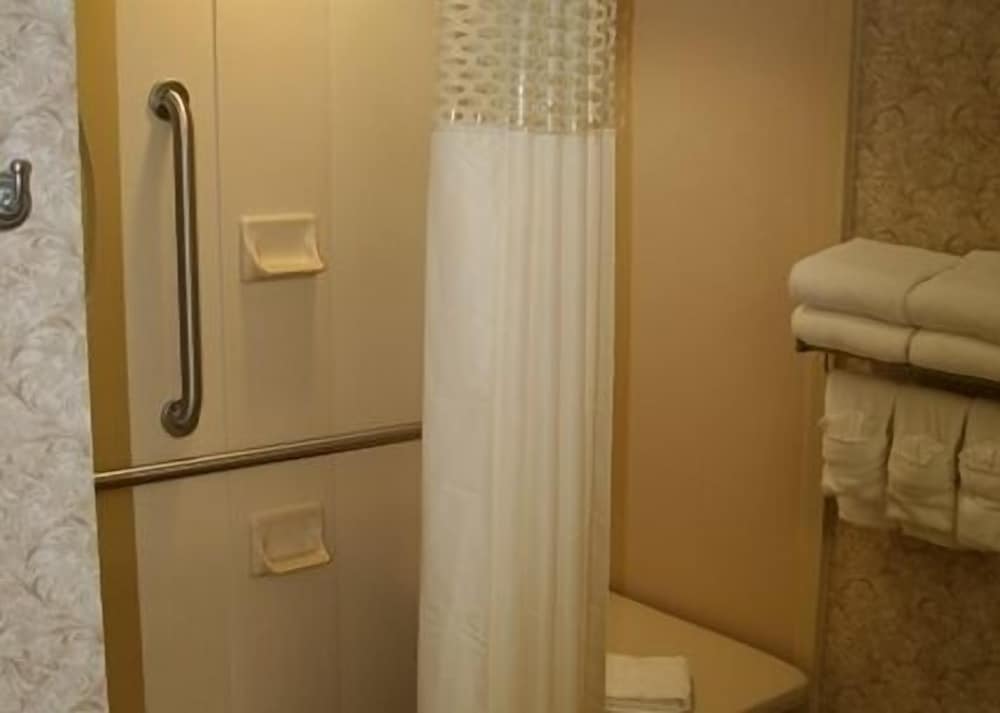 Room, 1 King Bed, Accessible (Roll In Shower) photo 2