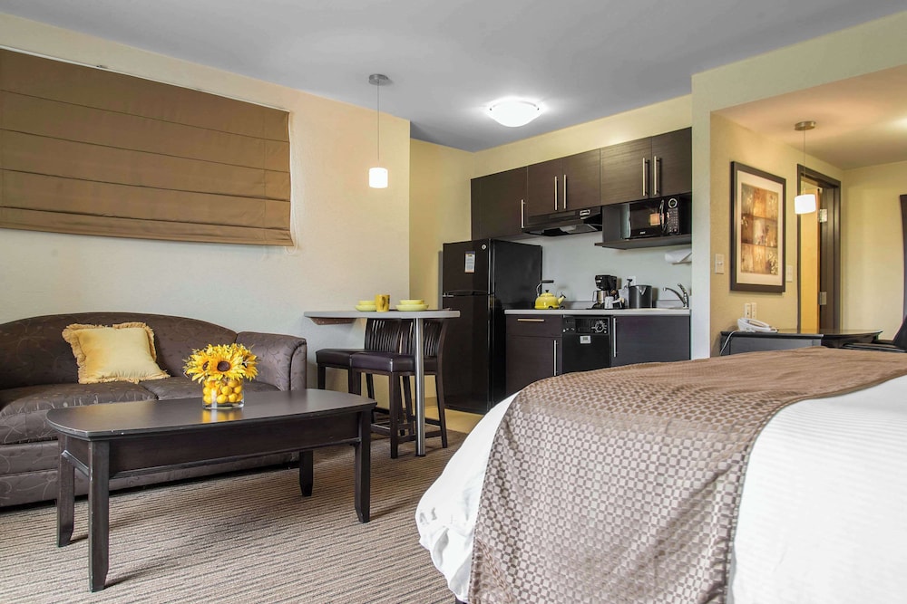 Suite, 1 King Bed with Sofa bed, Non Smoking
