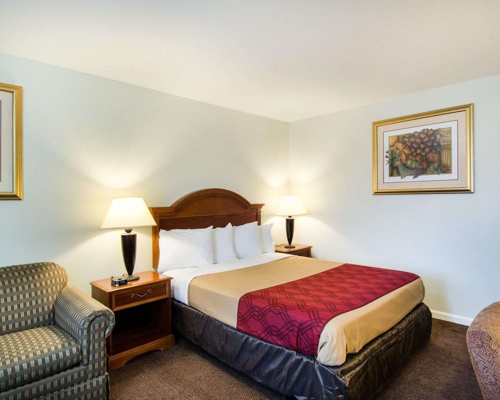 Standard Room, 1 Queen Bed, Smoking photo 1