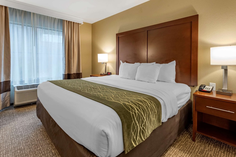 Suite, 1 King Bed with Sofa bed, Non Smoking