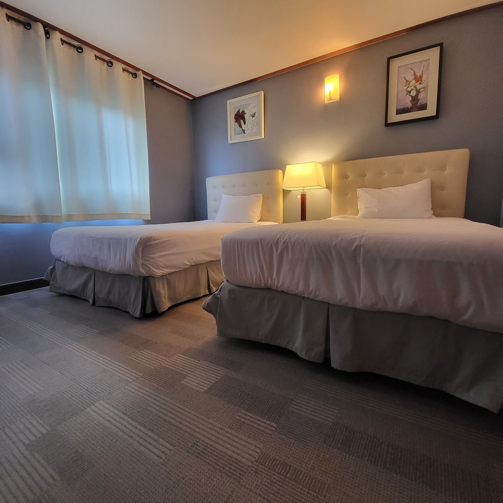 Deluxe Twin Room - Photo 1