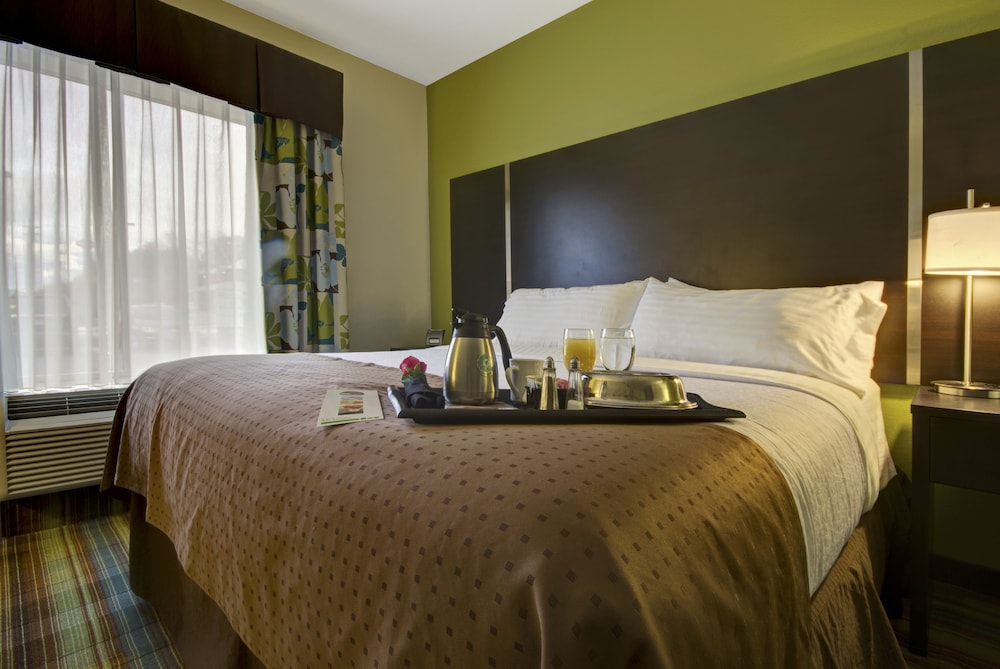 Standard Room, 1 King Bed, Accessible (Communication, Accessible Tub) - Photo 3