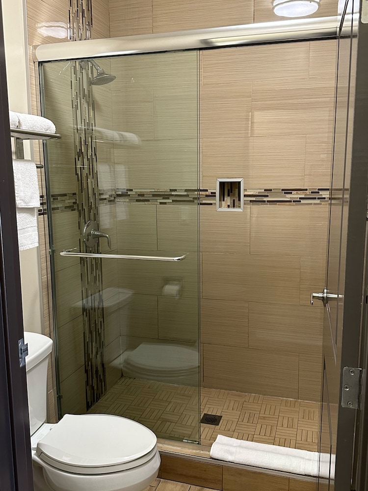 Basic Single Room photo 3