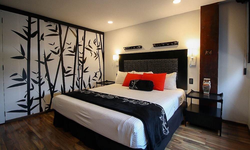 Suite - Photo 1