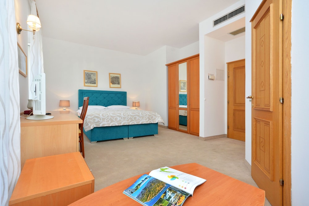 Superior Room photo 2