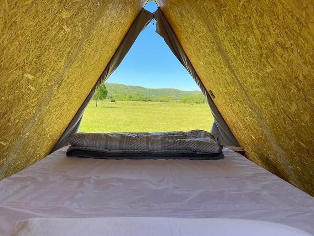 Basic Tent photo 1