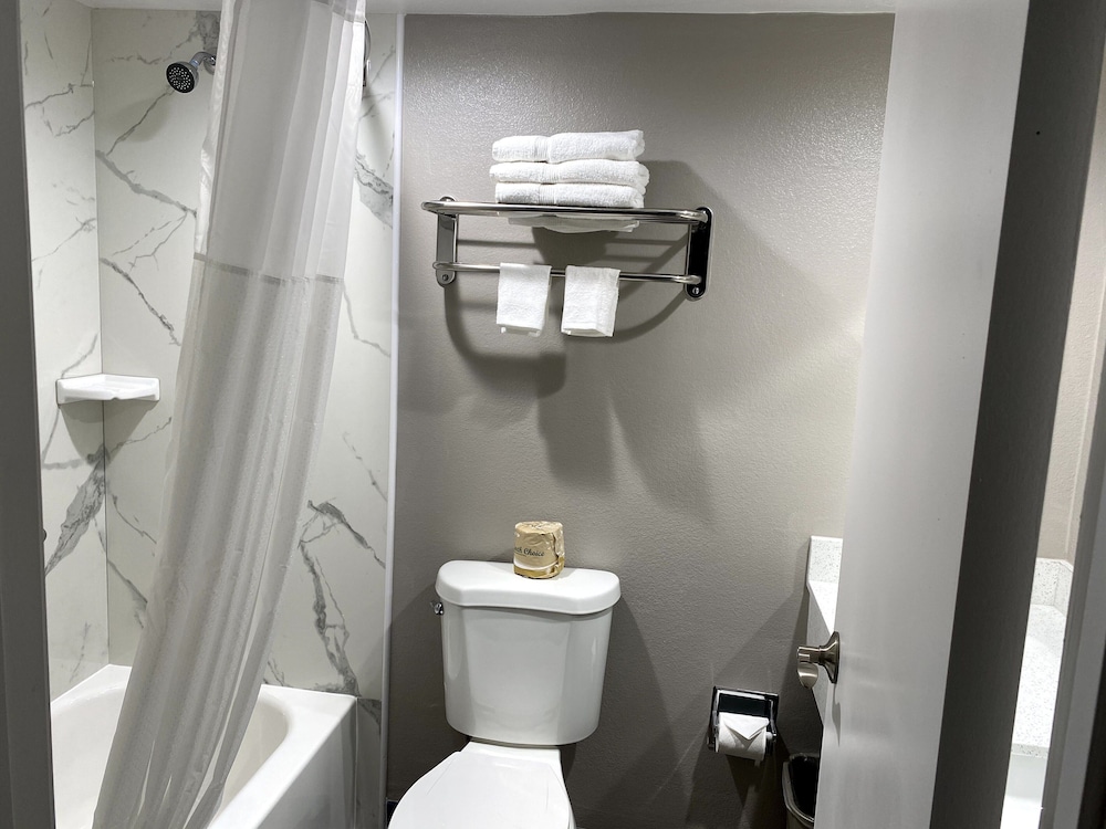 Deluxe Room, 1 King Bed, Non Smoking, Refrigerator & Microwave - Photo 5