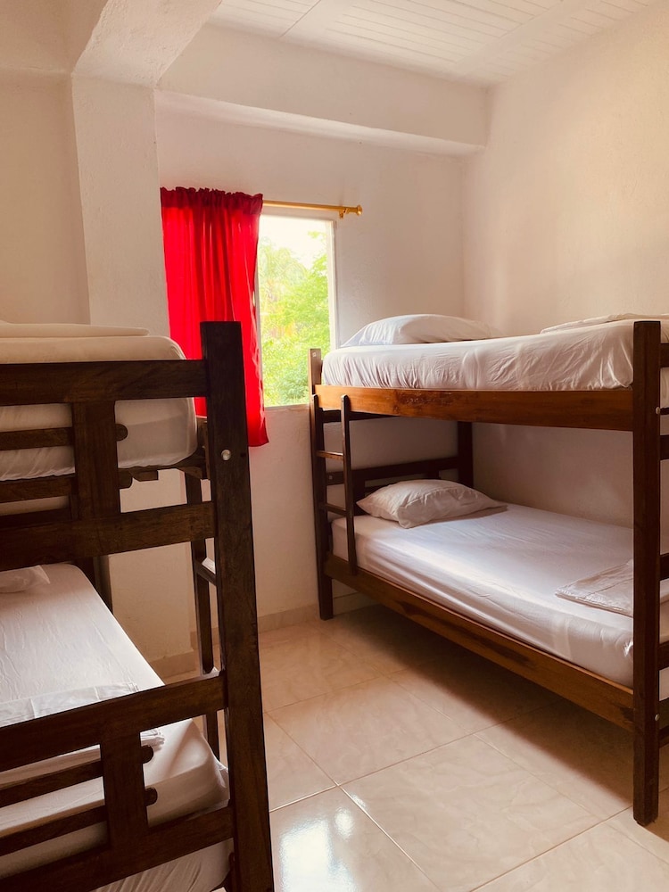 Basic Shared Dormitory photo 1