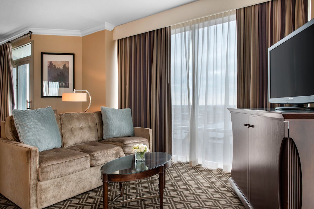 Suite, 1 King Bed With Sofa Bed, Accessible (Plaza Suite) - Photo 4