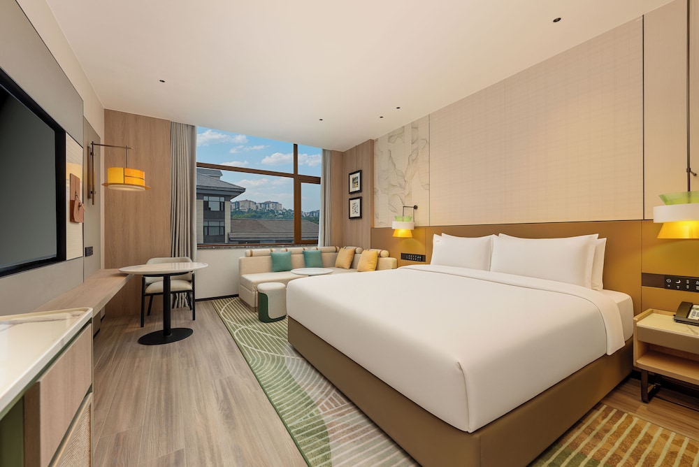 1 King Bed Standard Mountain View
