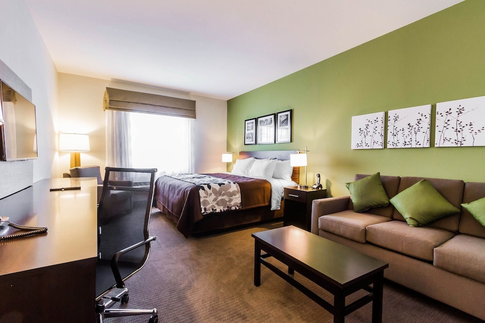 Suite, 1 King Bed with Sofa bed, Accessible, Non Smoking photo 1