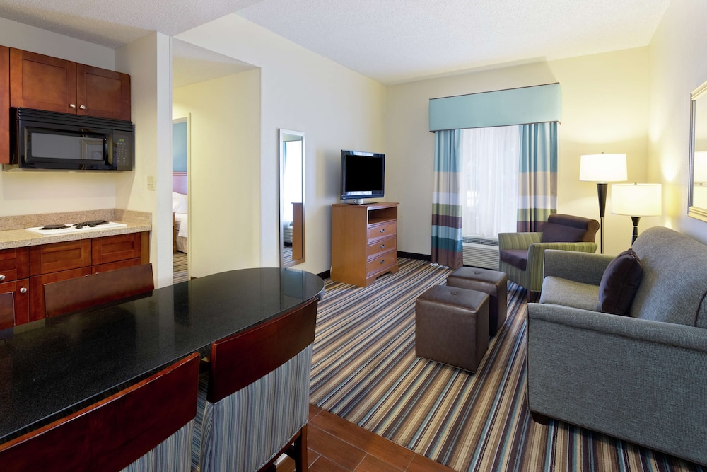 Suite, 1 King Bed with Sofa bed