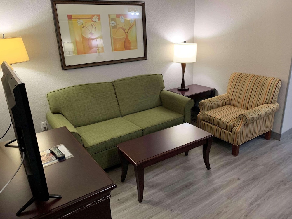 Suite, 1 King Bed with Sofa bed, Non Smoking (1 Kingbed) - Photo 3