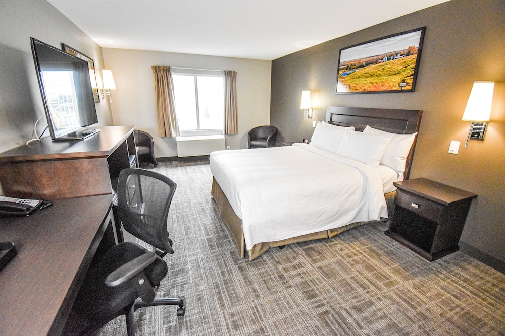 Deluxe Room - Photo 4