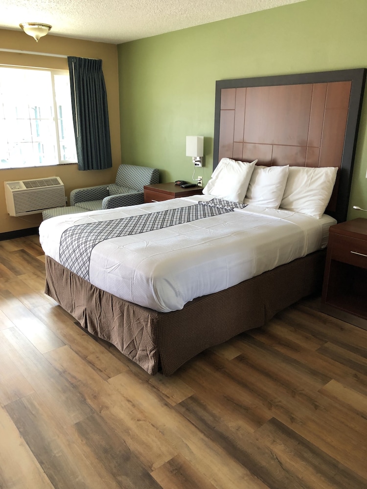 1 King Bed - No Pets Allowed