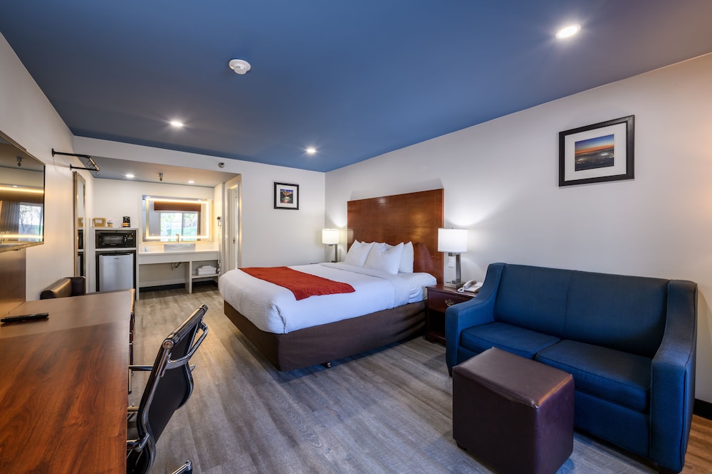 Standard Room, 1 King Bed, Accessible, Non Smoking photo 1