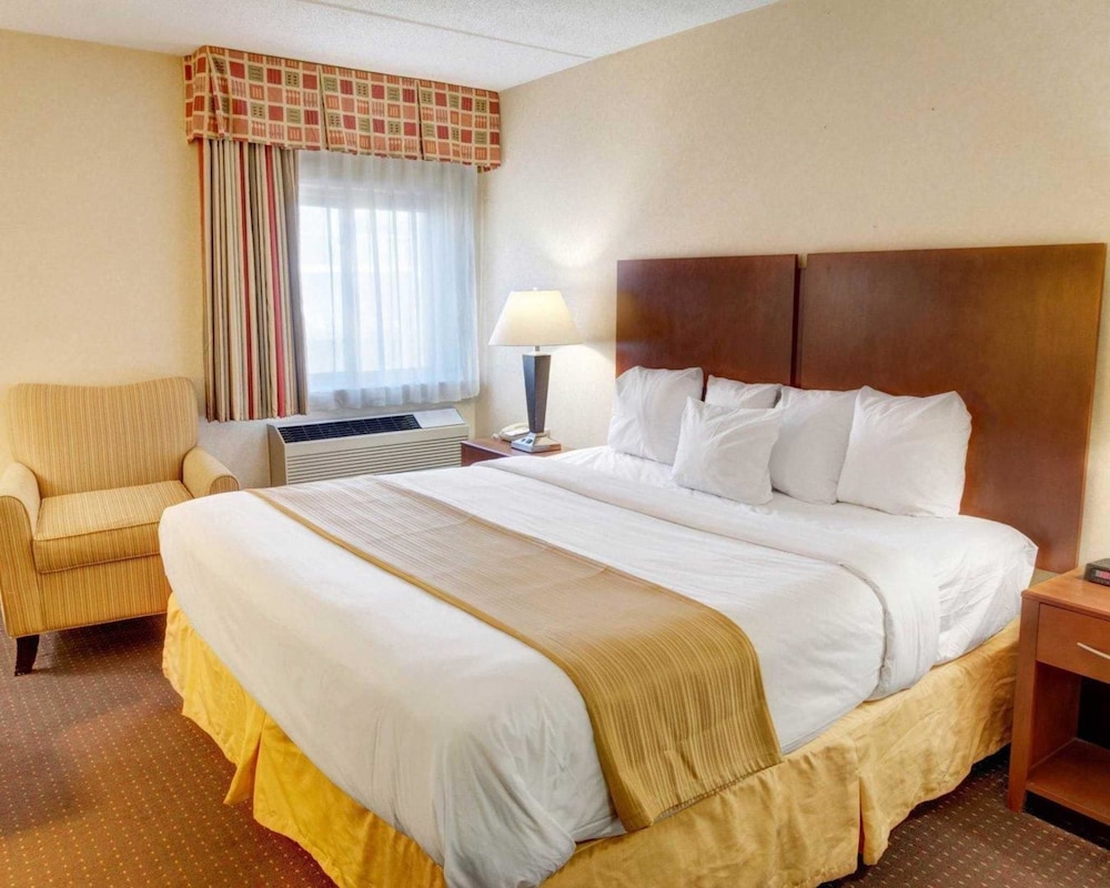 Room, 1 King Bed, Non Smoking - Photo 5