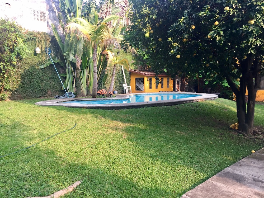 Comfort House, Multiple Beds, Garden Area photo 2