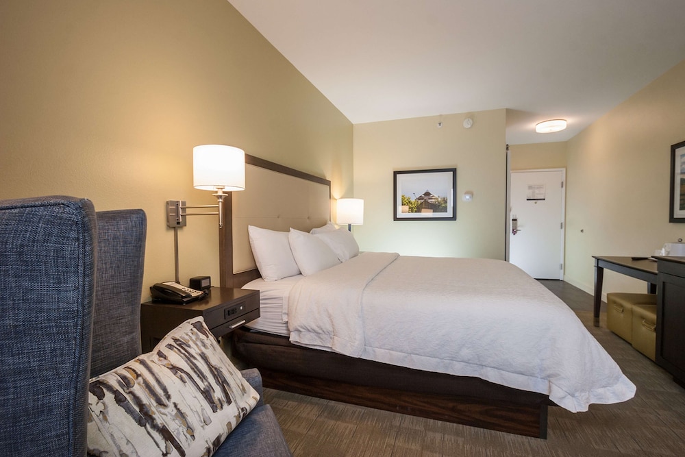 Room, 1 King Bed with Sofa bed, Accessible, Bathtub (Mobility & Hearing) - Photo 3