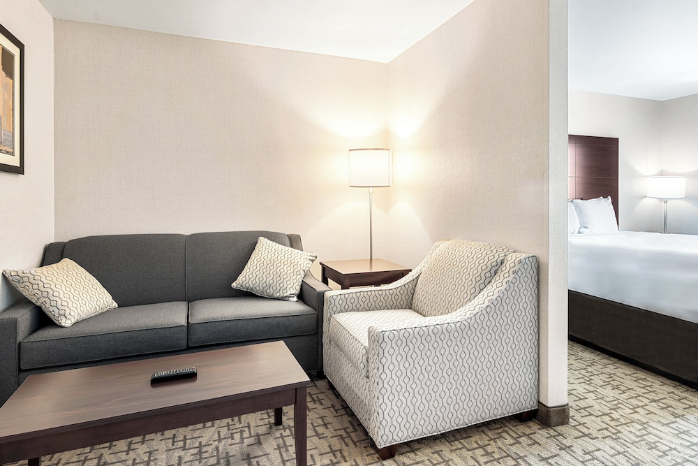 Suite, 1 King Bed with Sofa, Non Smoking photo 3