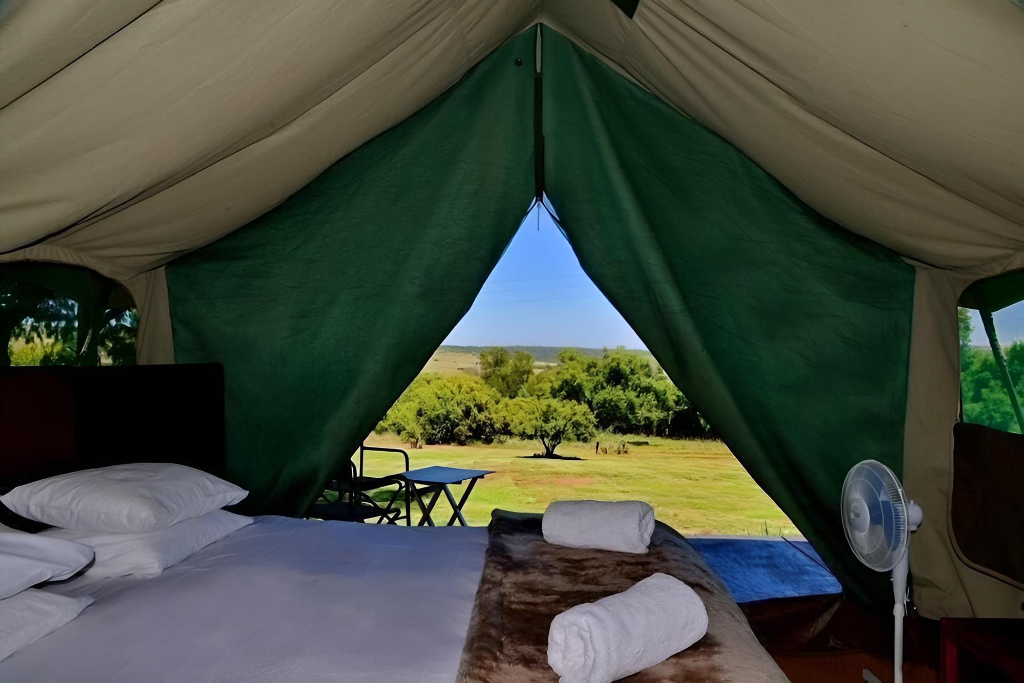 Standard Tent photo 3