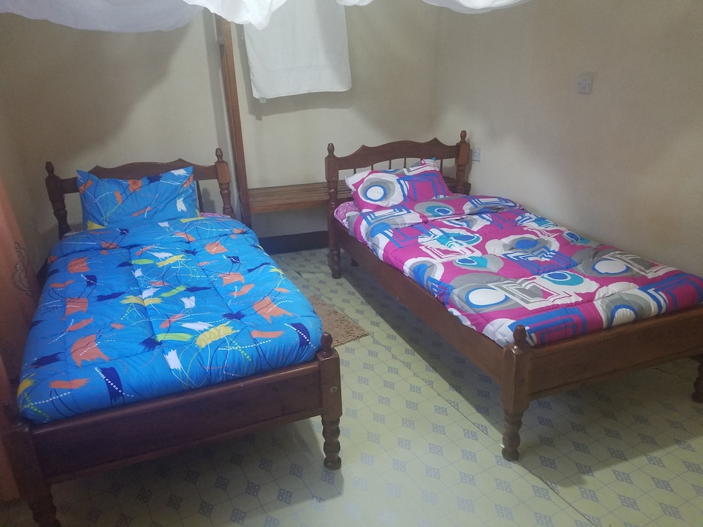Twin Room photo 2