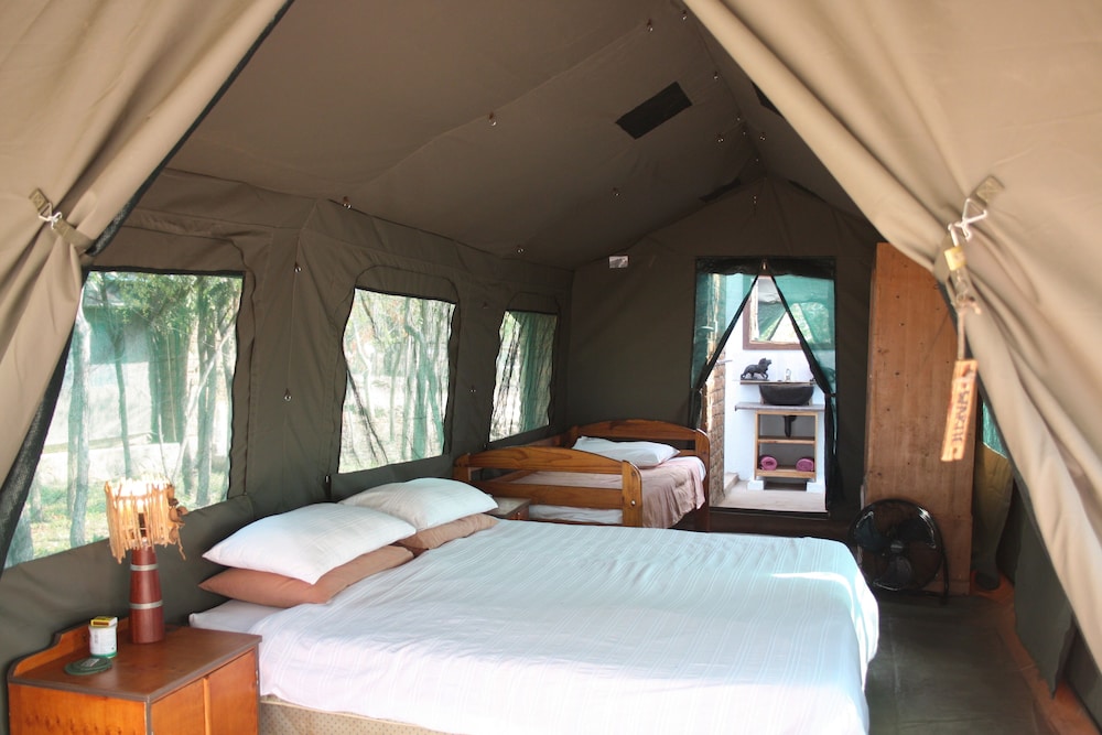 Deluxe Tent, Multiple Beds, Lake View