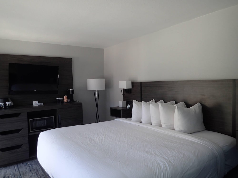 Standard Room, 1 King Bed, Non Smoking - Photo 1