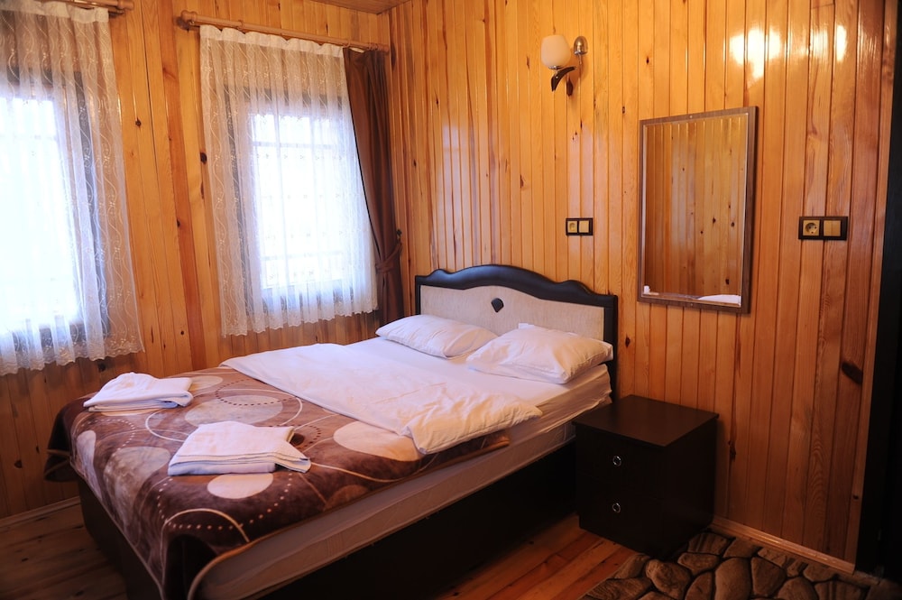 Double or Twin Room photo 1
