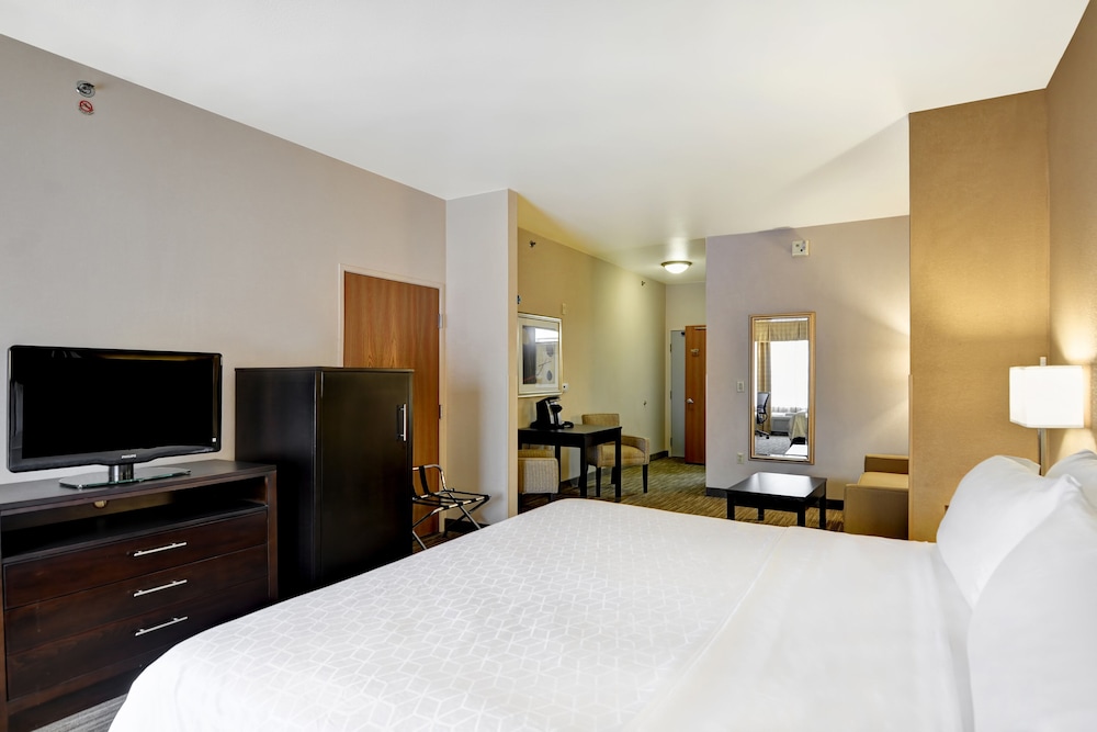 Suite, 1 King Bed with Sofa bed - Photo 1