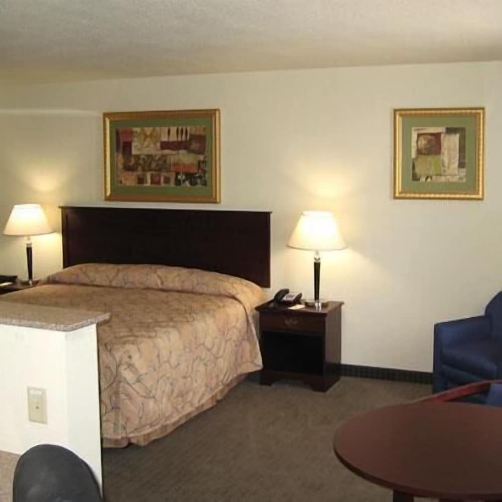 Basic Single Room, 1 King Bed - Photo 1
