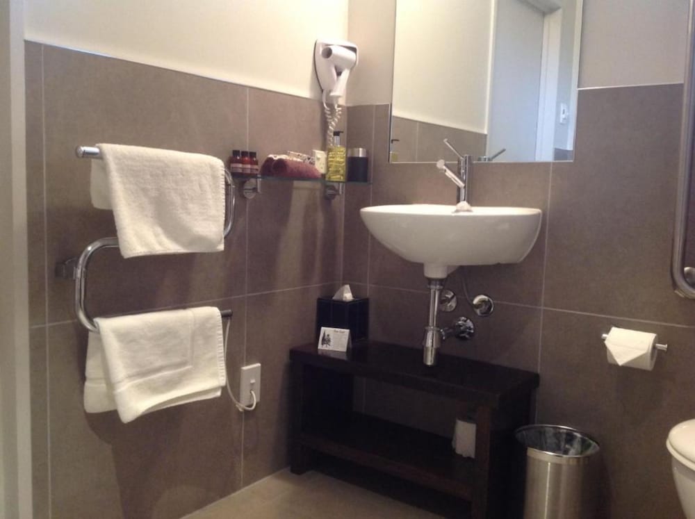 Wheelchair Accessible Studio Unit photo 2