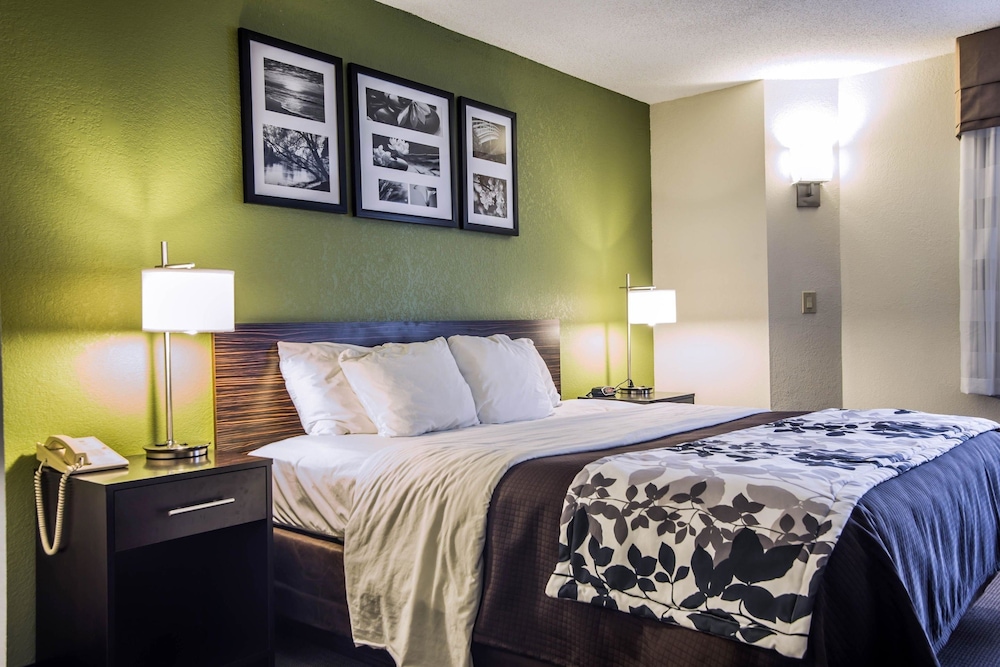 Standard Room, 1 King Bed, Non Smoking - Photo 1