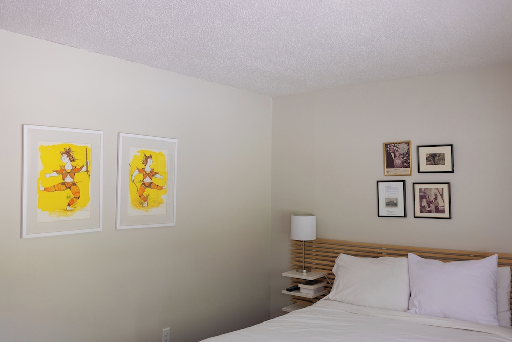 Room, 1 Queen Bed, Mobility Accessible photo 3