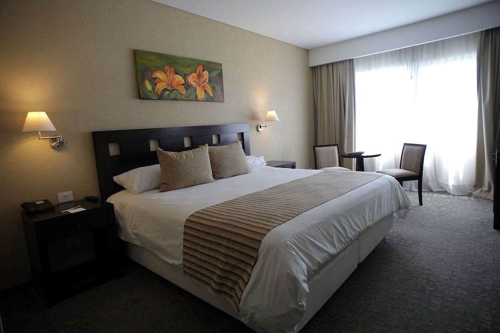 Room, 1 King Bed photo 1